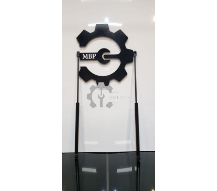 PAR AMORTIGUADOR DE CAPO W164